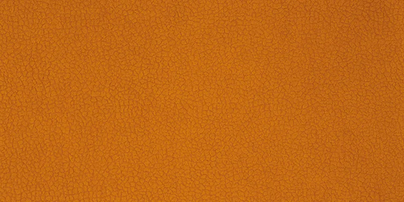 Židle CLAYTON dub sedák čalouněný