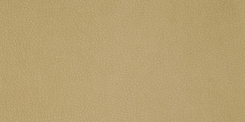 Židle CLAYTON dub sedák čalouněný